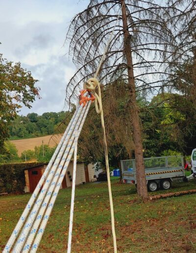 481904538_622763364022366_5822310040090887628_n