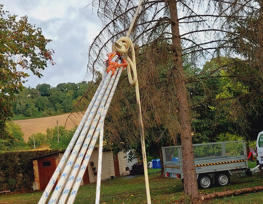 Élagages et abattages difficiles