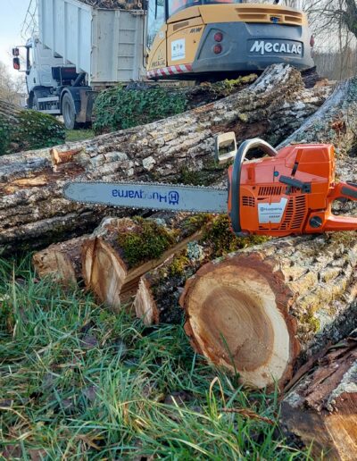 484070381_627946373504065_5280009972846890505_n