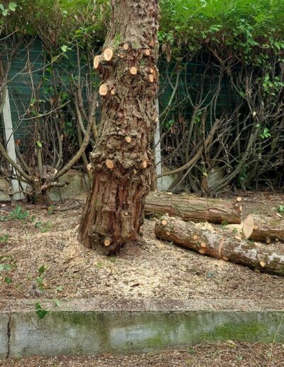 485355448_634445772854125_4638881220485372753_n