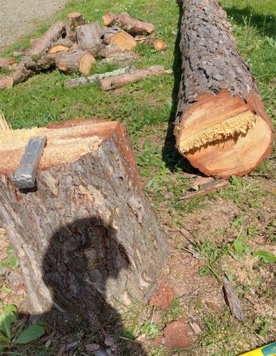 485697156_633837782914924_8337841900816578415_n