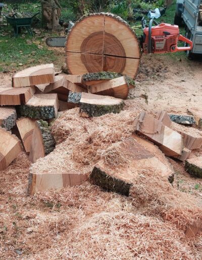 486311005_636253262673376_8309150770125428809_n