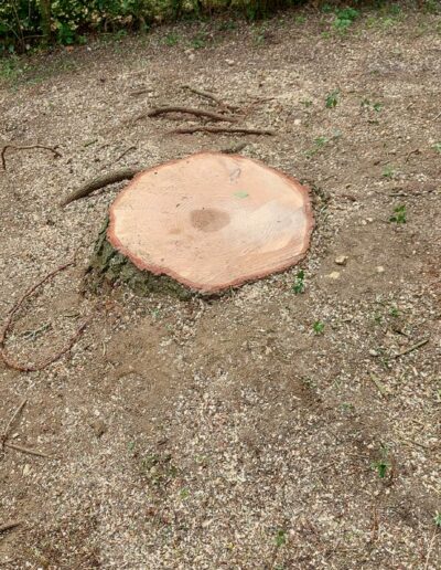 486373732_635170709448298_7776342851352201753_n