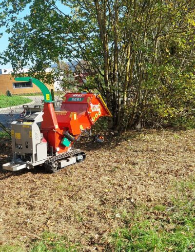 486459619_636249432673759_7386226732374293540_n