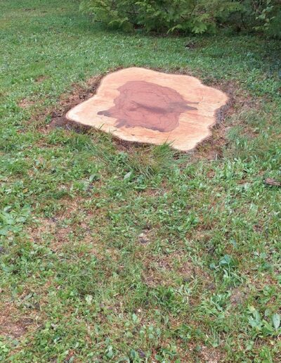 486536934_636252999340069_8928651831983242928_n