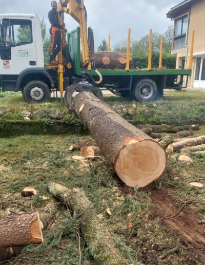 490514303_656722870626415_123442081094125898_n