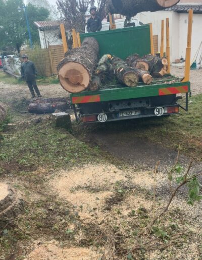 491738681_654722307493138_1473502171073559167_n