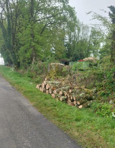 492198256_661186346846734_2715568661212652055_n