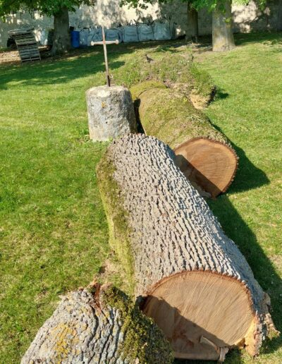 494557002_665131136452255_7972562254247495204_n