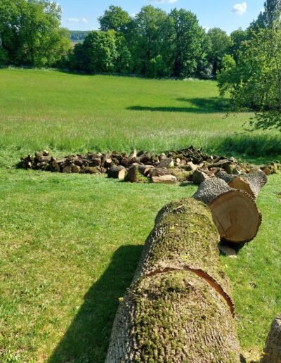 494604053_665131049785597_6592472926218169974_n