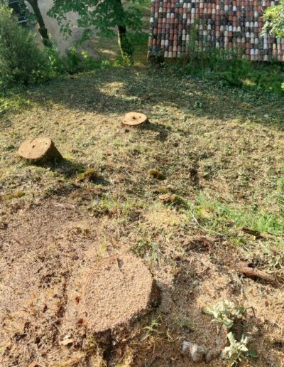 495306052_698482716450430_4302866120812019181_n