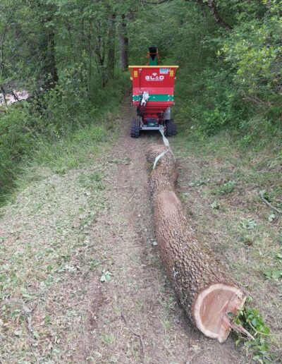 504278510_698482586450443_8631641396775529234_n