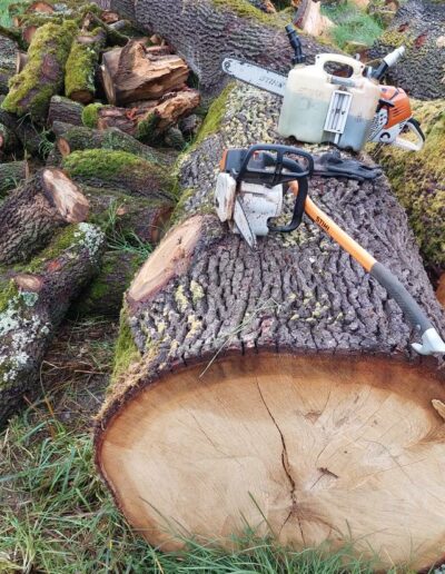 504733388_694841393481229_8497289866238454830_n