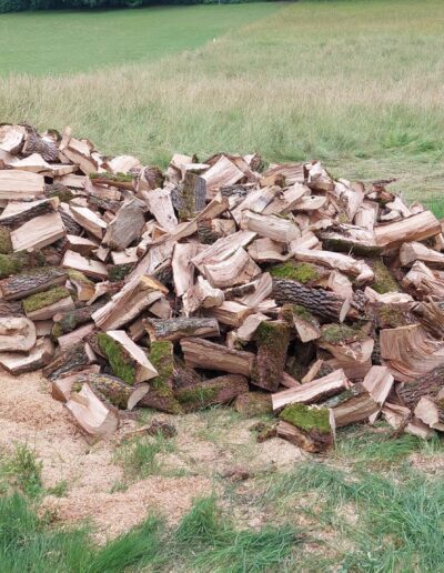 504917805_694841643481204_1210880223091398415_n