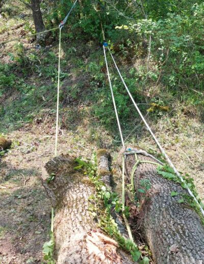 505990196_698482506450451_8949756211476026000_n