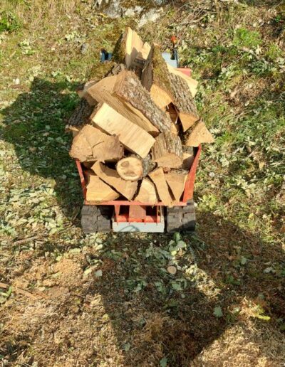 506449279_698482683117100_2867209556321018894_n