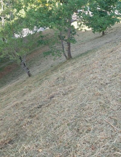 515201005_713726344926067_5002286316185910504_n