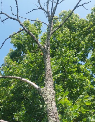 515258086_713721741593194_8350339811988310351_n